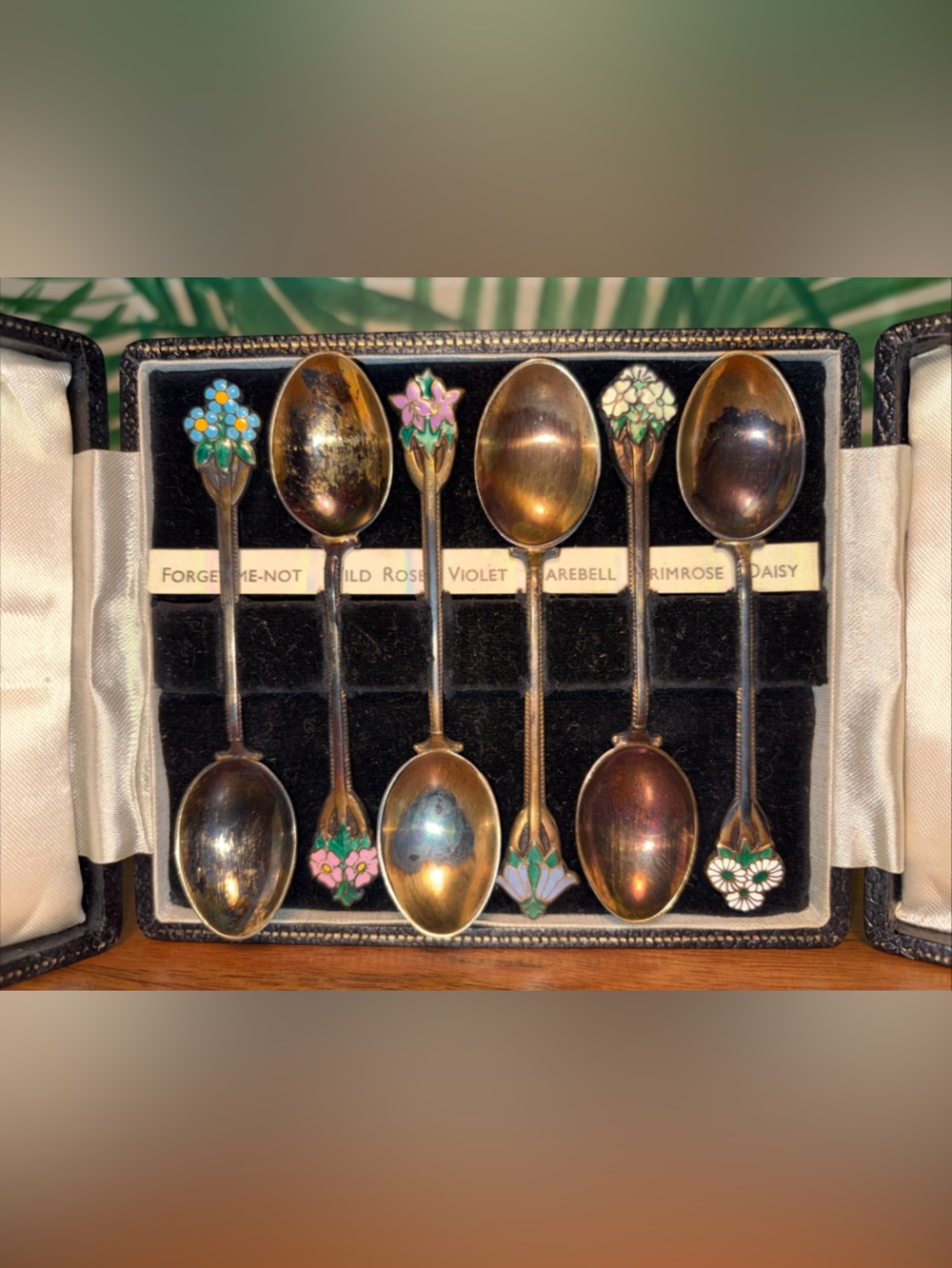 T&S Turner & Simpson Sterling Enamel Floral Demitasse Spoon Set (6) In Box UK
